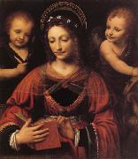 LUINI, Bernardino St.Catherine Spain oil painting reproduction
